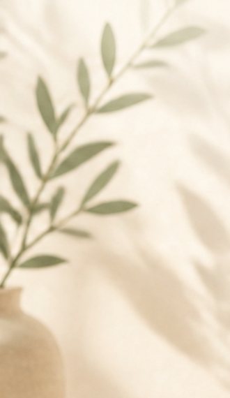 花瓶に活けられたユーカリの枝と、やわらかな光の影